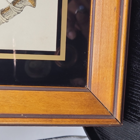 Vintage Bird Print in Brown Frame and Black Matting. Great for Gallery Wall! - Picture 4 of 6